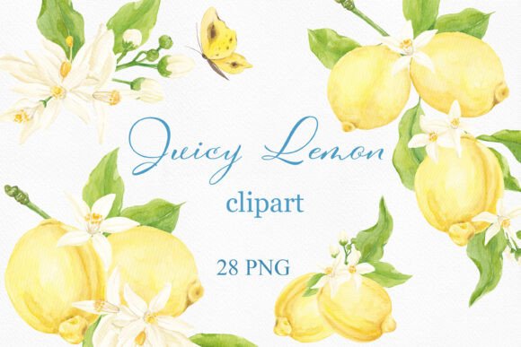 Watercolor Lemon Clipart, Arrangements